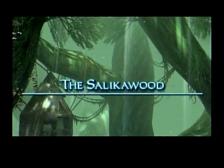 Final Fantasy XII Salikawood Moogles