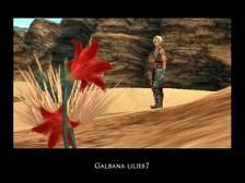Galbana Lilies FF12