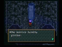 Wild Arms Berries